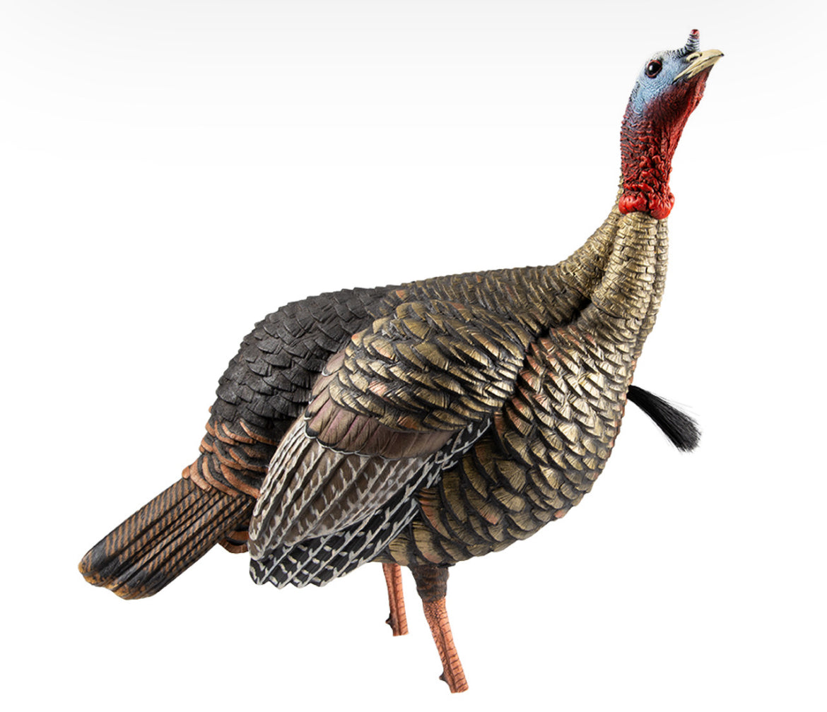 Avian X HDR Jake Decoy