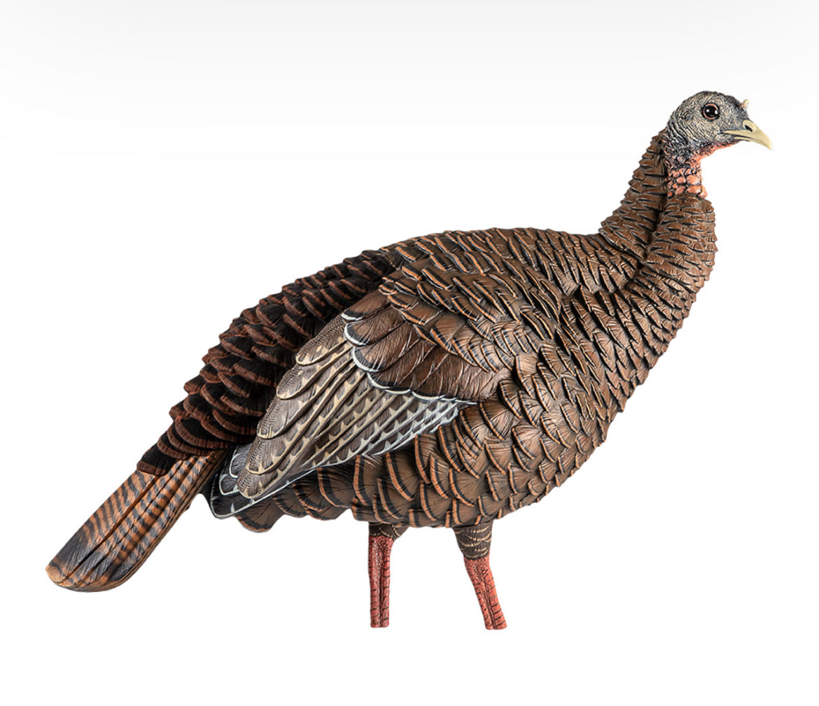 Avian X HDR Hen Decoy