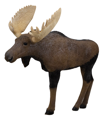 Rinehart 1/3 scale signature moose