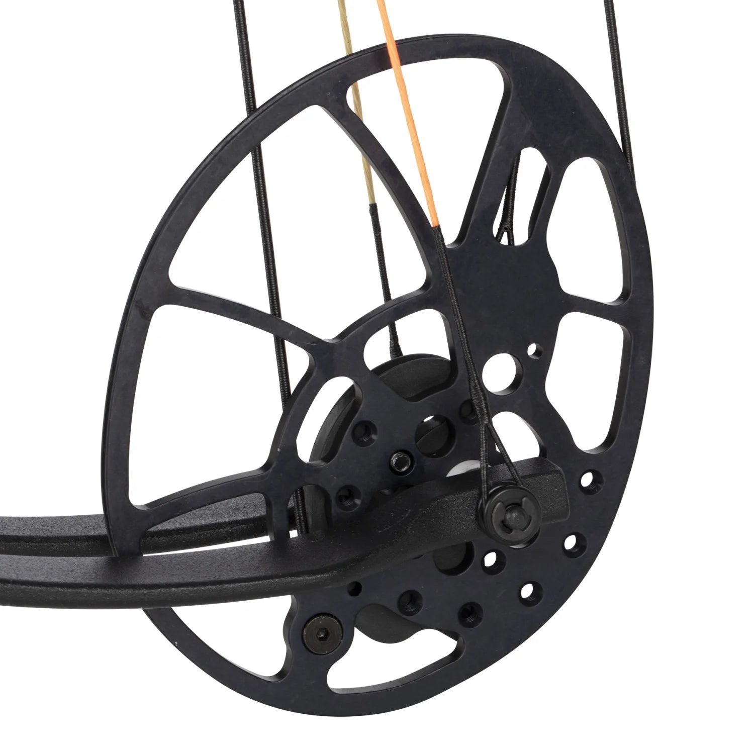 Bear Legit Strata Black Limbs RTHX Package**